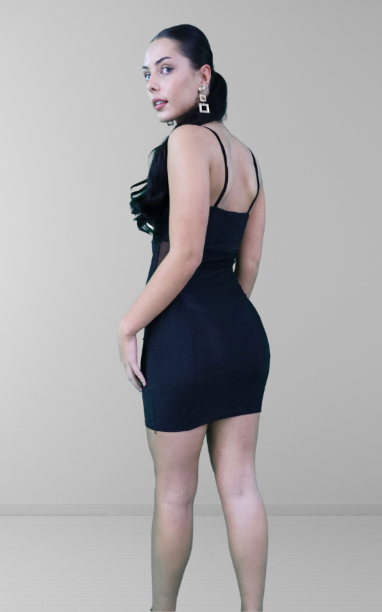 Mesh sheer detail bodycon dress